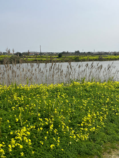 Tour Salinas do Samouco – Salinas, Estuário e Fauna