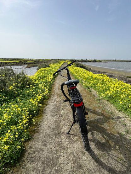 Tour Salinas do Samouco – Salinas, Estuário e Fauna