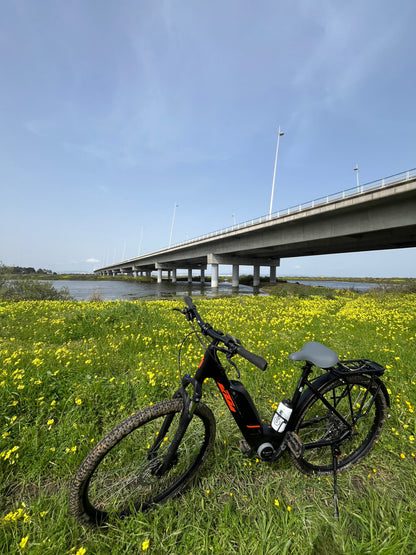 Tour Salinas do Samouco – Salinas, Estuário e Fauna