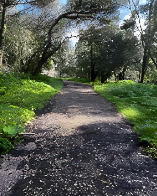 Tour Monsanto - Parque verde de Lisboa
