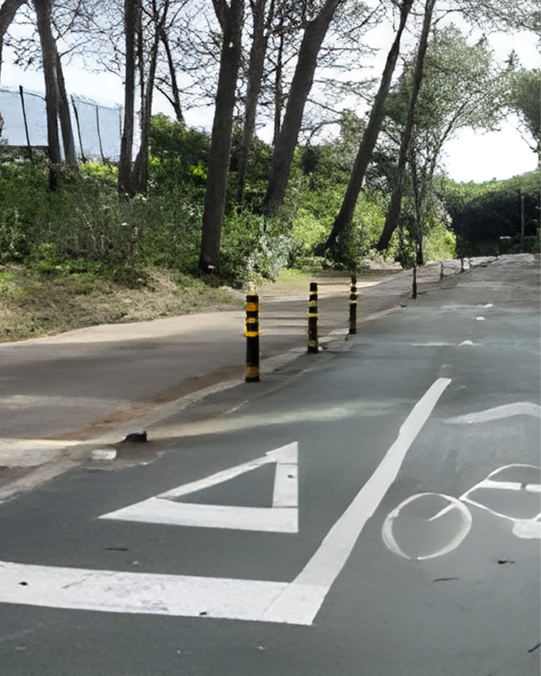 Tour Monsanto - Parque verde de Lisboa