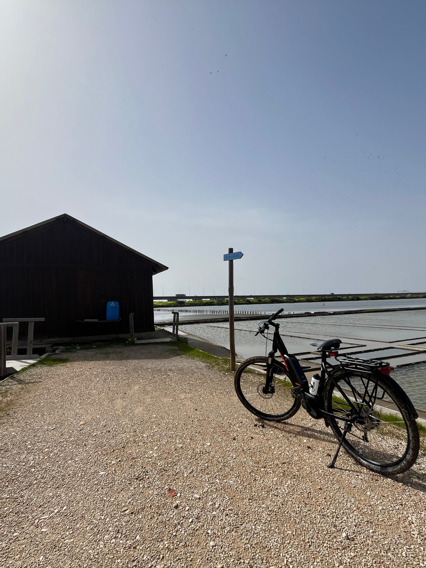 Tour Salinas do Samouco – Salinas, Estuário e Fauna